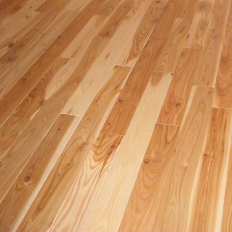 Plancher Méleze